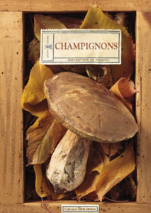 Les relations entre hommes et
                          champignons