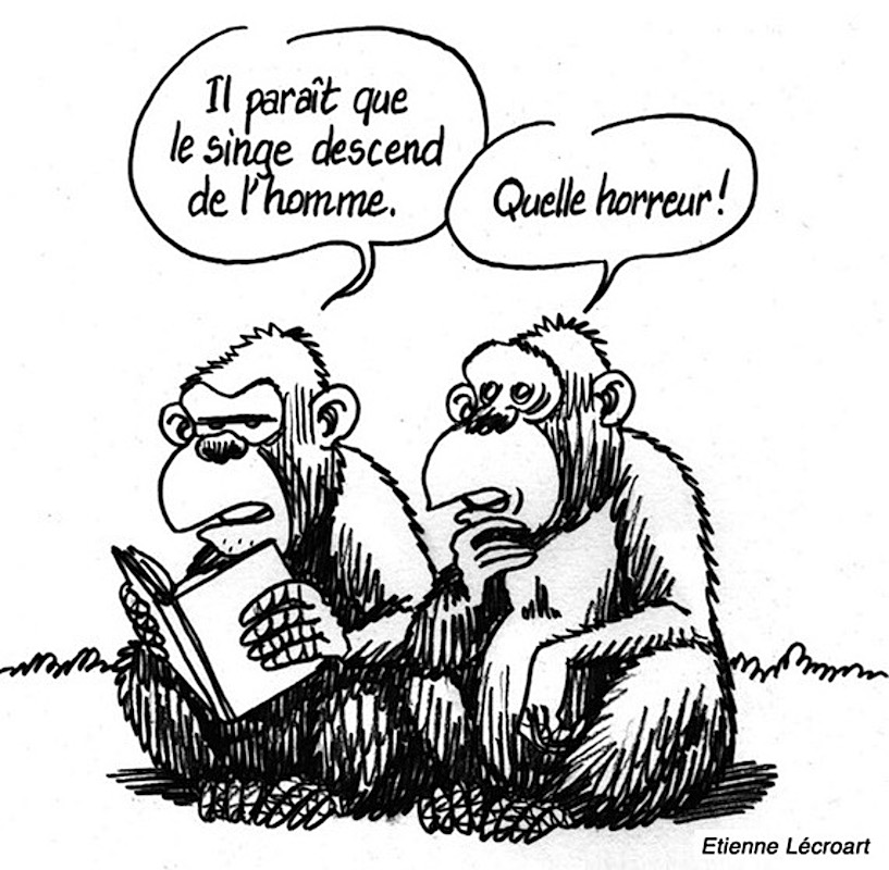 dessin de
            Etienne Lécroart