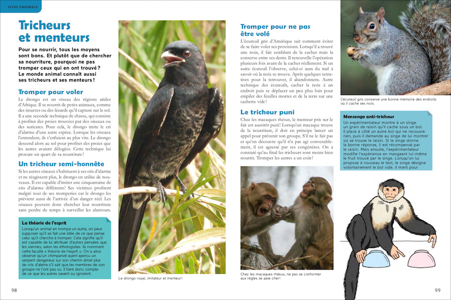 comportement animal : les tricheurs