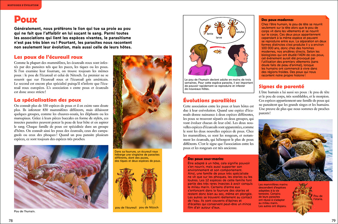 l'histoire
            des poux