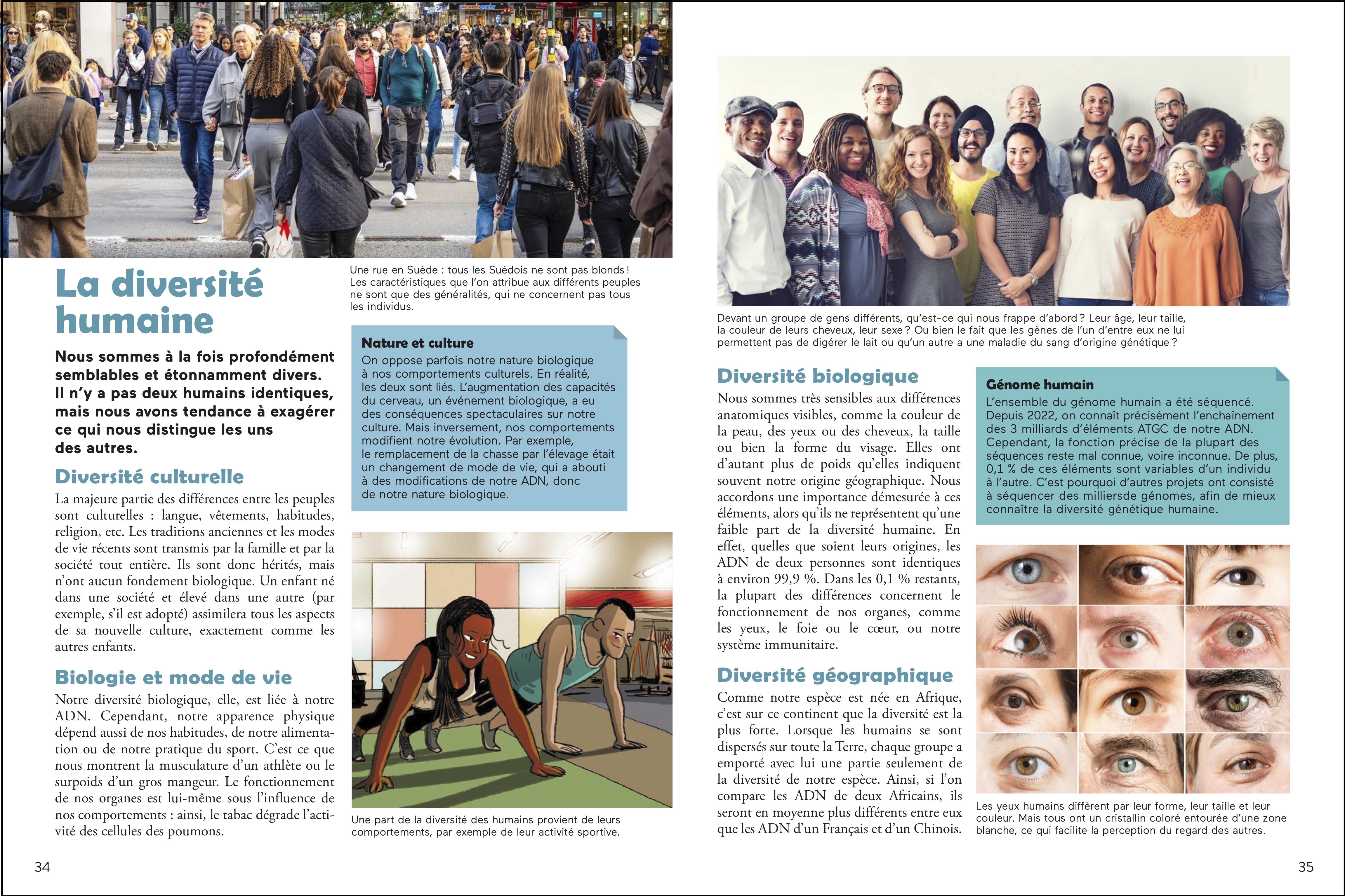 �tre humain pp 34-35