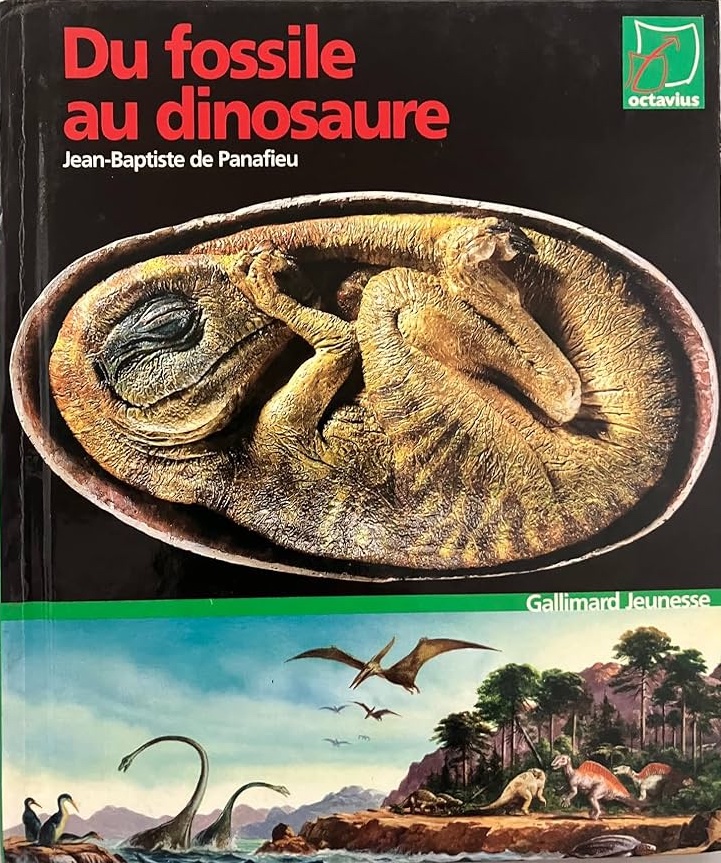 Du fossile
              au dinosaure